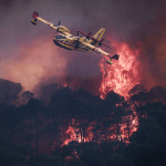 wildfires