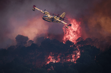 wildfires