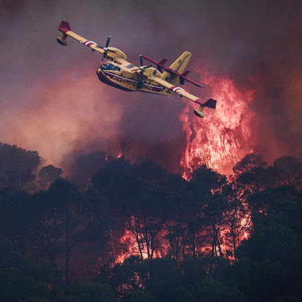 wildfires