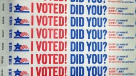 Voter fraud