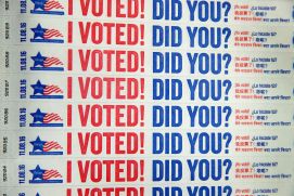 Voter fraud