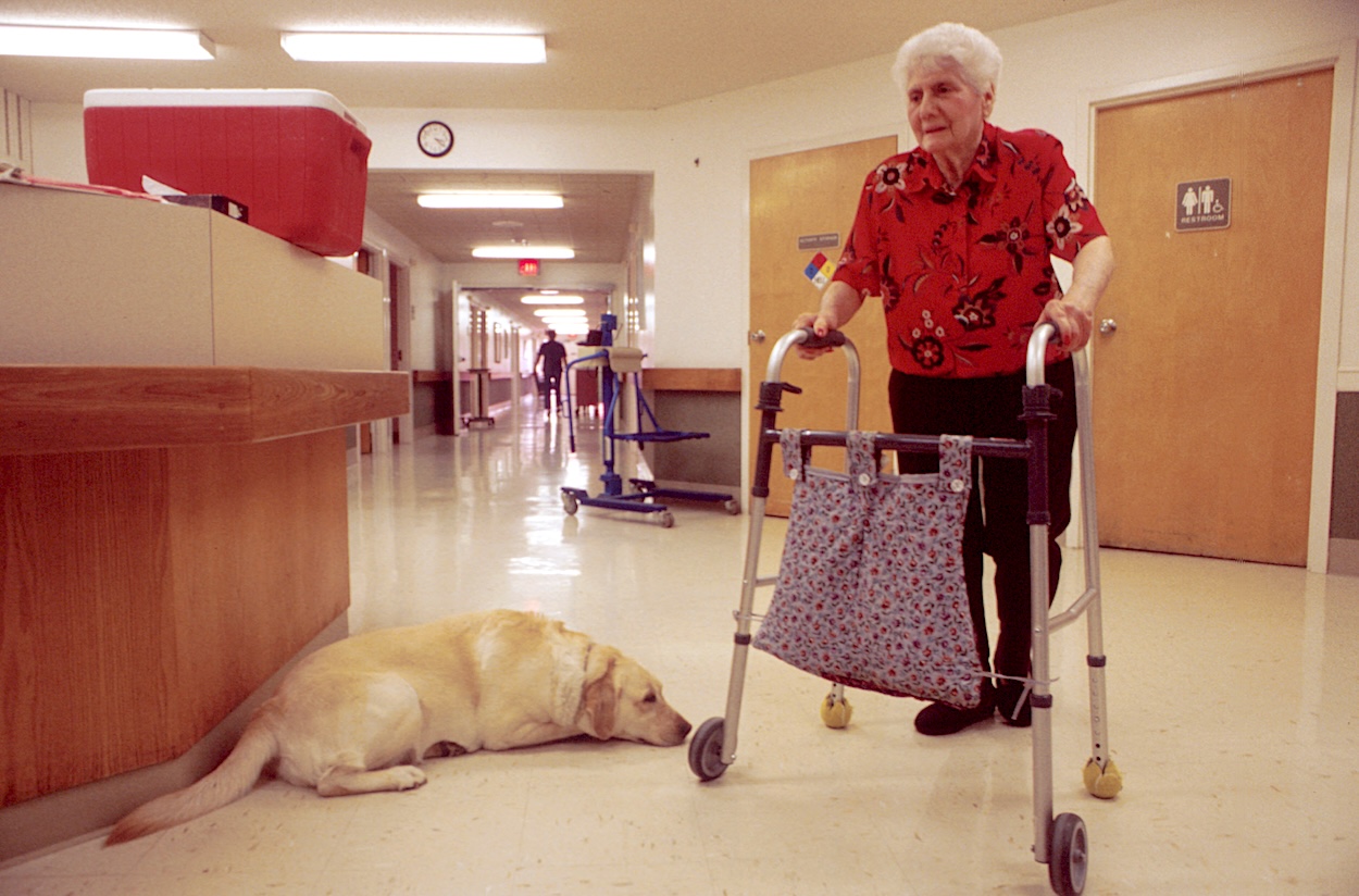 Why a ‘social care levy’ is a bad idea