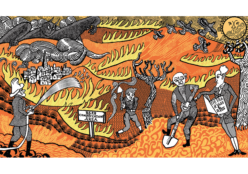 The unspoken truth about wildfires