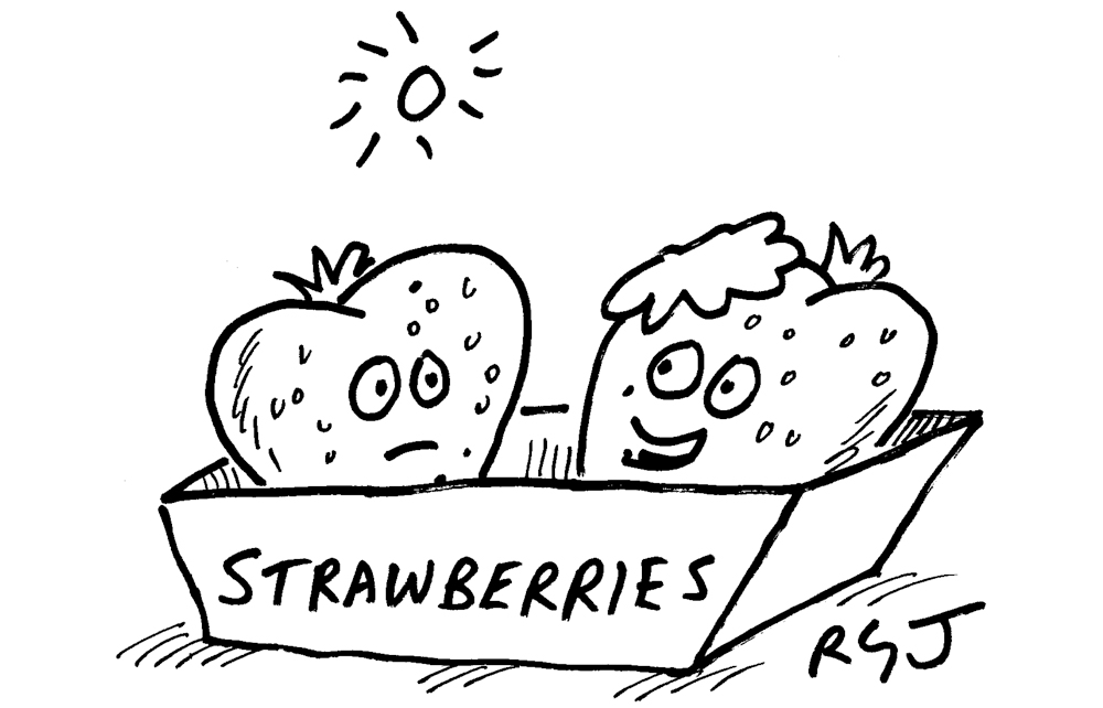 ‘It’s summer. Make sure you’ve got some cream on.’