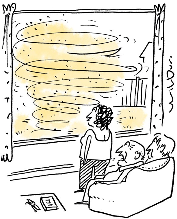 ‘We struggle to keep the garden under control these days.’