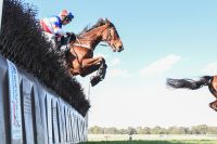 steeplechase