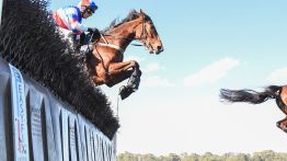 steeplechase