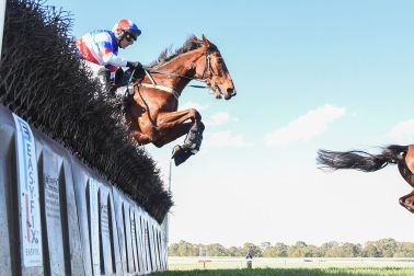 steeplechase