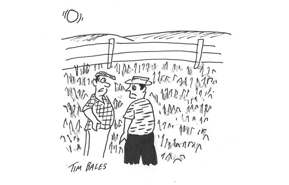 ‘It’s said you reap what you sow. Not with this weather you don’t.’