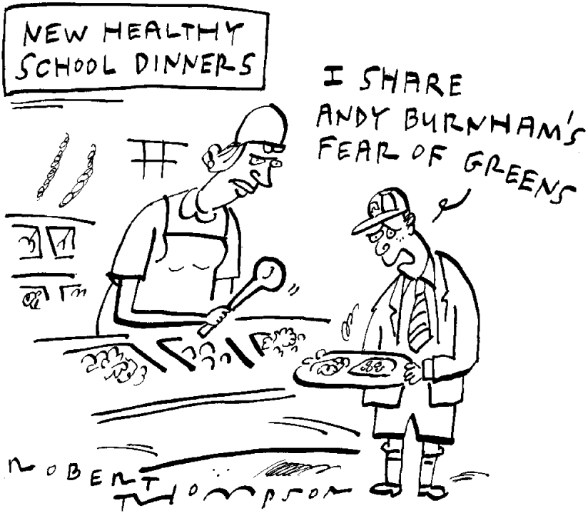 New healthy school dinners