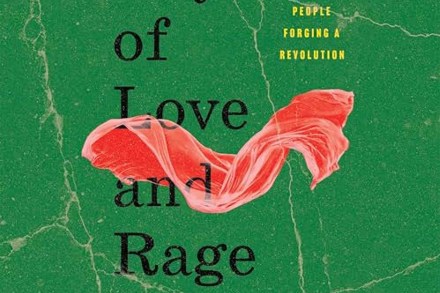Anand Gopal: Days of Love and Rage