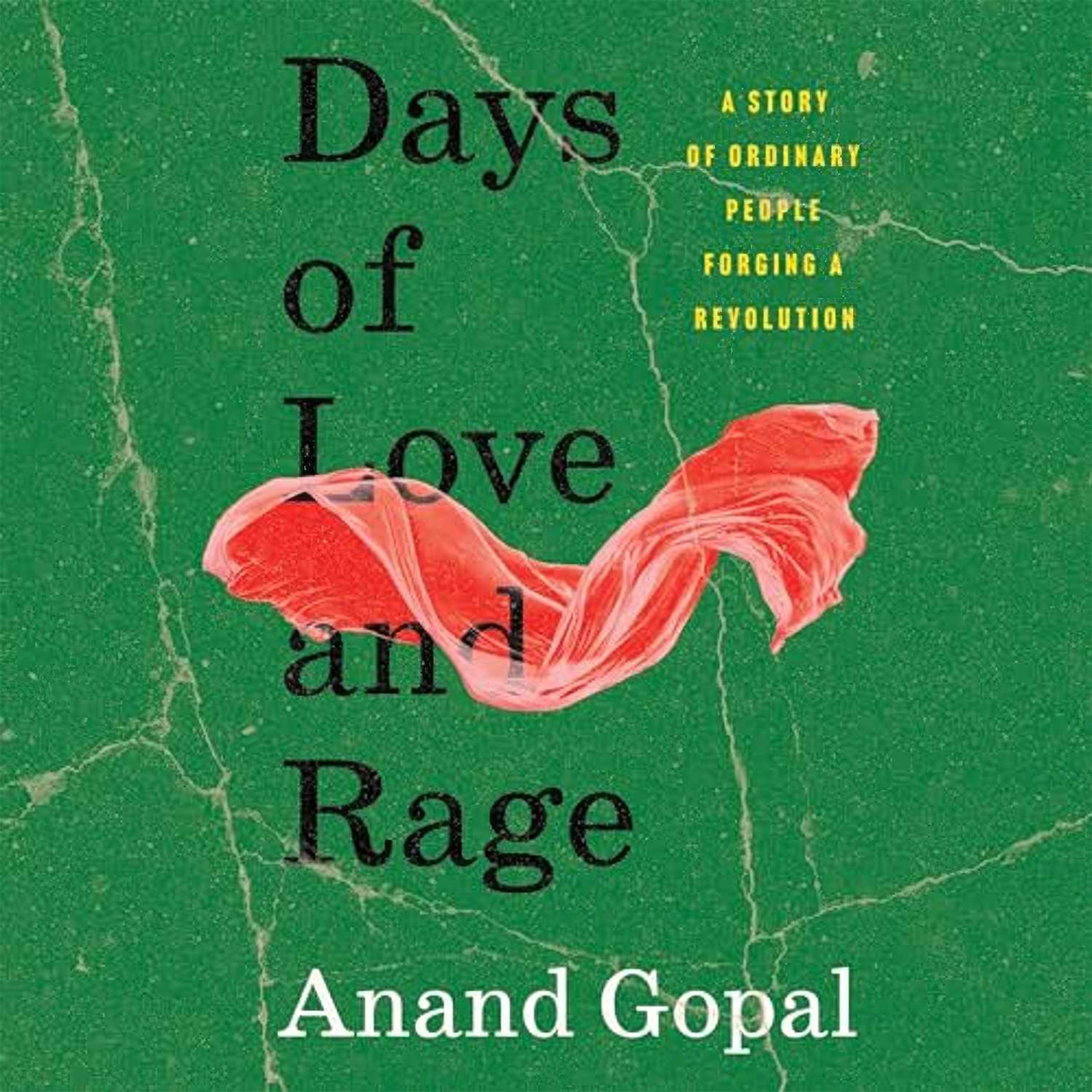 Anand Gopal: Days of Love and Rage