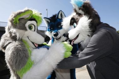furries