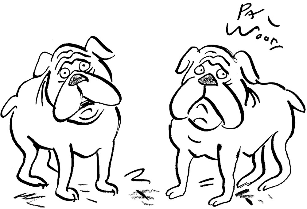 ‘I’m confused – are we English or British bulldogs?’