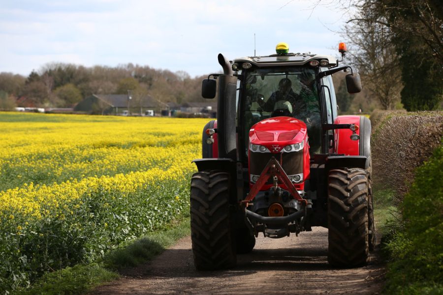 Wie regenerative Landwirtschaft das ländliche Großbritannien retten könnte
