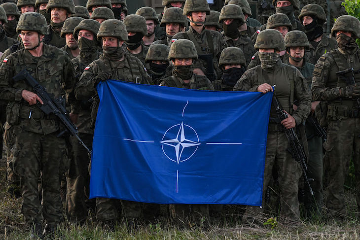 Revealed: Nato’s plan to combat Russia