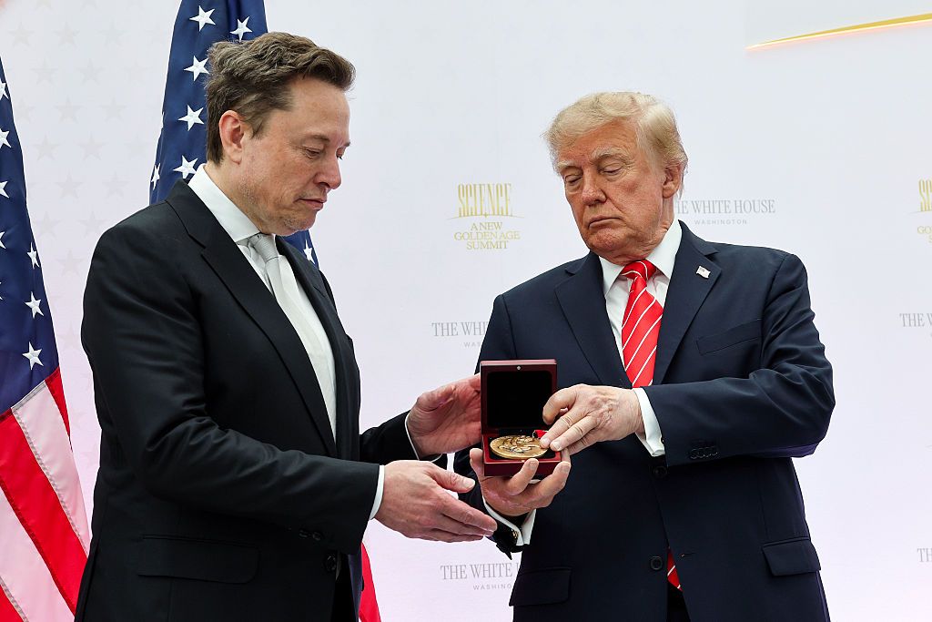 elon grok
