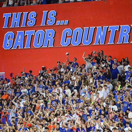 gator