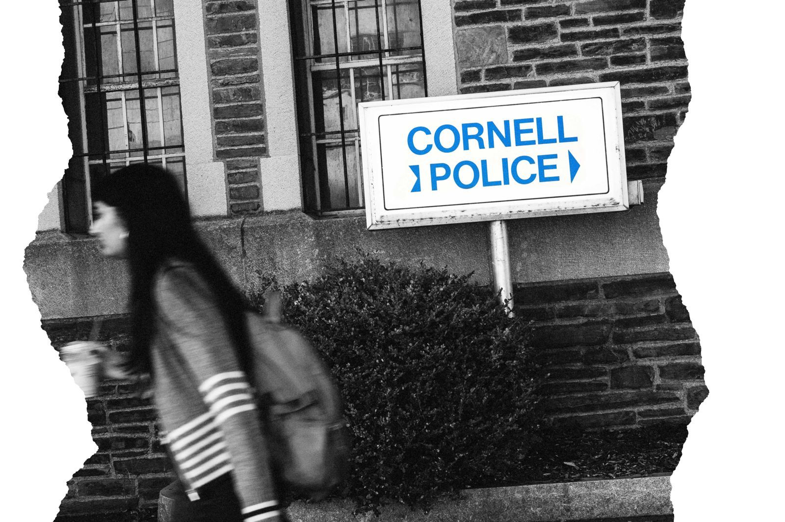 cornell metoo